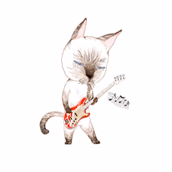 Guitar Cat