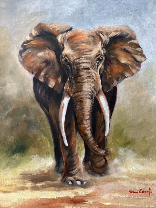 Item #4288309145407295523431116215122397111529594114986911850026632803549852991538 Media