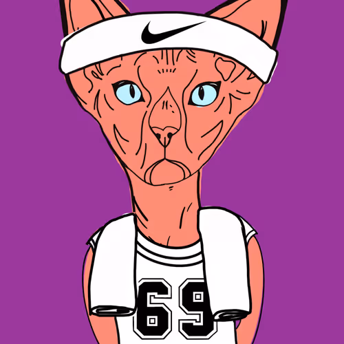 Designer Sphynx