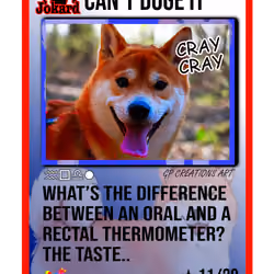 CAN'T DOGE IT