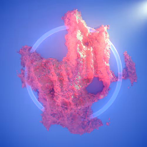 Item #92877229357164046472028175889131918179999340354375960899241609973362176557057 Media