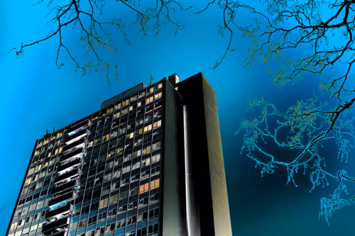 Item #15236982778410190070086765345826506481017233498668087741165894620307953549317 Media