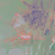 98647933825971538167014356708832577938829494808882293034315128151803445641217