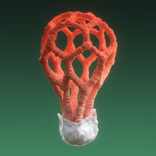 Item #95653877050150474555742155054455970472164202465768371638498214007469951156225 Media