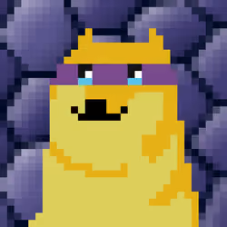 CryptoShibe #2528