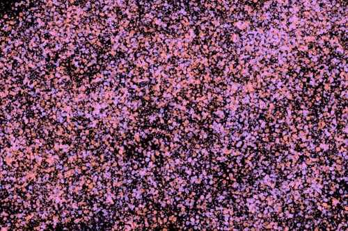 Item #944858660688572096584618472555991747686703840338442188877309642341942820865 Media