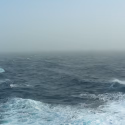 Wave of the Indian Ocean