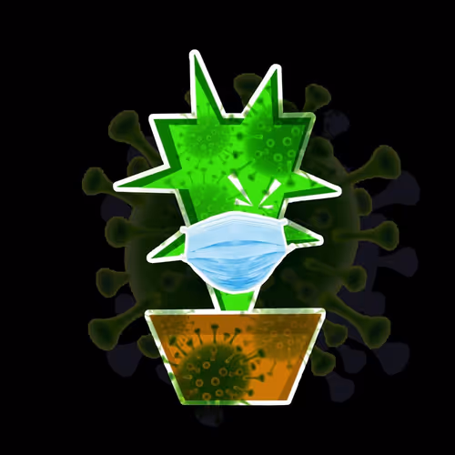 Item #17233248919672756592627854483327930045278101806371671251237399691409089363969 Media