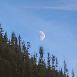 Our Pale Blue Dot