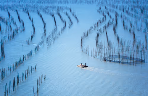 Item #87039837623497109248111371843753350751098431609447691644405014517441393328143 Media