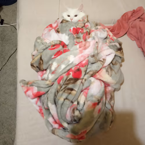 Item #763224073280193224173041358155125596503139434424356380946212180551341703169 Media