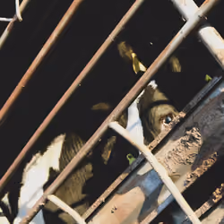 #8191801416806285121778812914349402747754342027860369498703950700335614394369