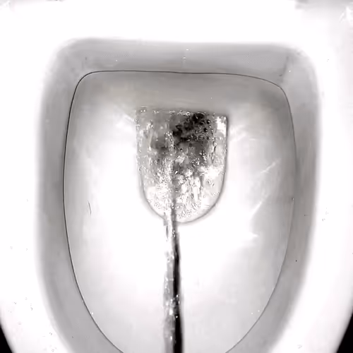 12660136923828748263426703316480839463053827608546839420335323401688295931905