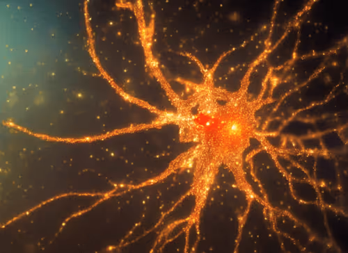 Item #98695163844141812296559601516468632585703412525772017875852753320936019591169 Media