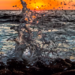 Pacific Splash