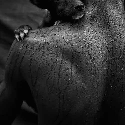 The Mystery of Motherhood