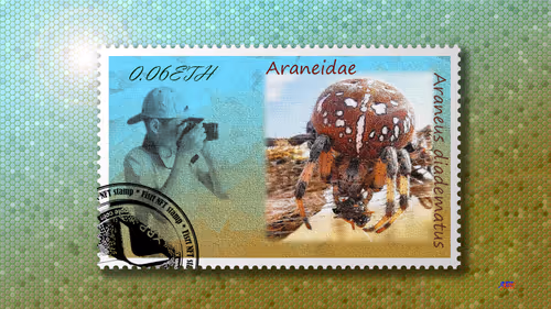 Item #105973246943151987345213410235211569025683575939462317992466355584469143912449 Media