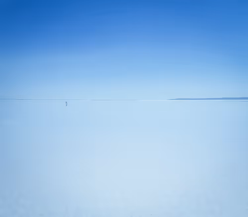 Item #66260202130923582122973382862177126358123222797447437945300350387326958960641 Media