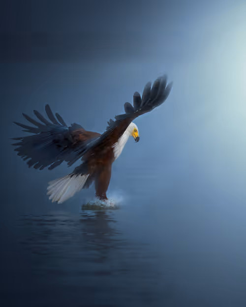 Item #46079002673746917612181822276232175794000124775188007442997743706886994133004 Media