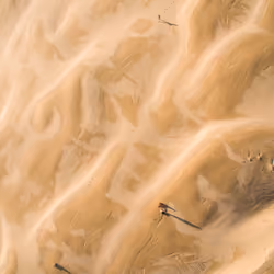 Desert