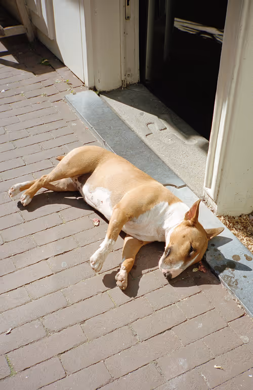 Item #64073144841343757614716512507723910140908511863865217898604629612712083587073 Media