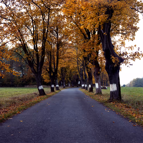 Item #30121090533068634730460792685537461567950127940617948076373458114554774945793 Media