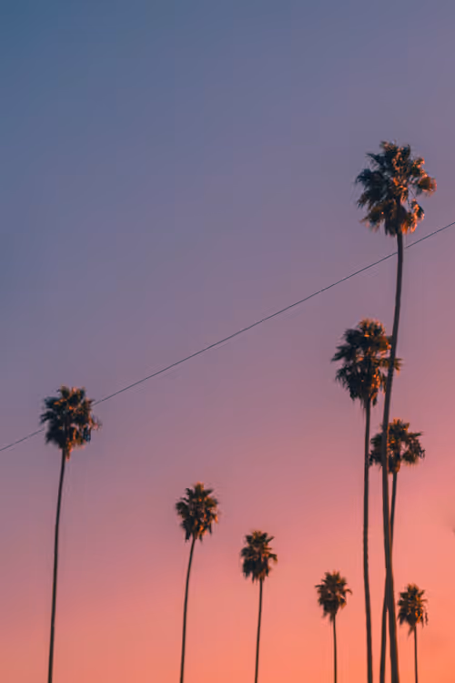 Item #35557780727049604459658880725917592814256363748111026780455796813479196753921 Media