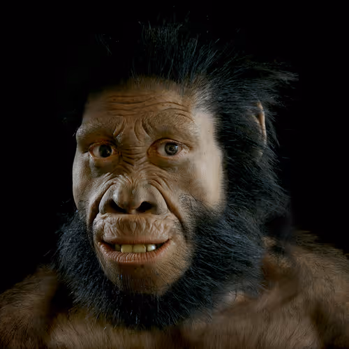 Item #2749212597480566319420670968386715303055052819437880047570039900680843427928 Media