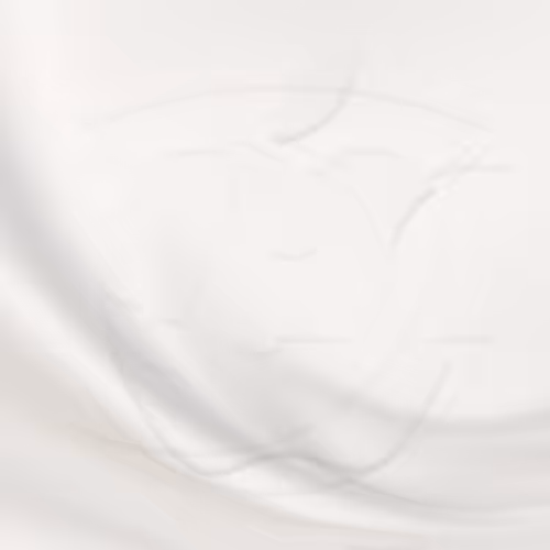 Item #22592841775891780116487314684133766698035086154031944889633093154528024330241 Media