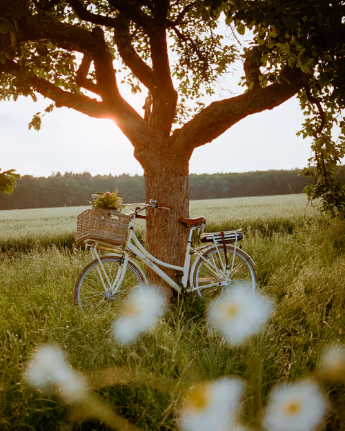 Item #72063473001551707938921919543400060516989299042125628765680198908149036482561 Media