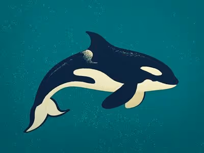 CryptoOrca Collection