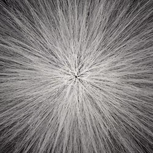 Item #12610632496049524164095677642880400443239125576031298445623241827103438536705 Media