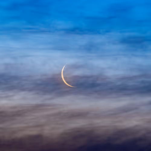 Item #31148491636585346537962268963820775448082611887353853734618727357257747529729 Media