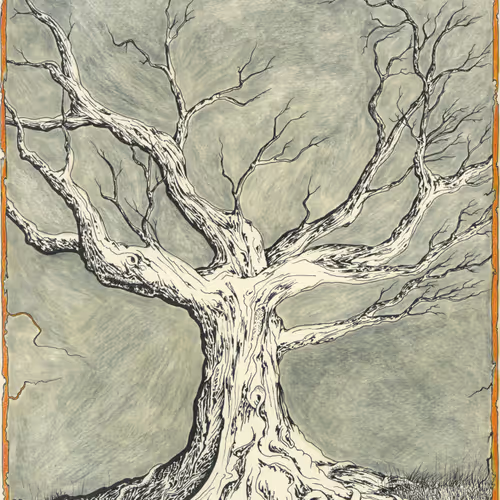 The Tree of Openness