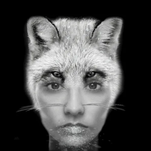 Item #44977390919060639513505607068705583876735982340724914493800311826399191105537 Media