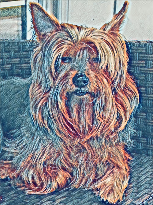 Item #24641453839621982763882949117927398230661196561047831968327781225521110581249 Media