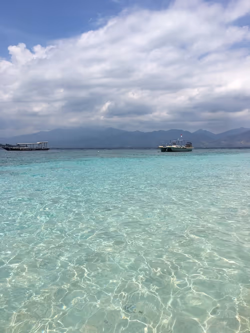 Item #40129036347338487732493830186327944618305484146391989675731997366624708460744 Media