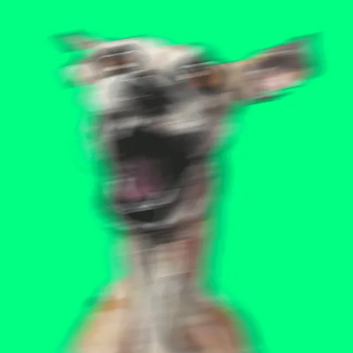 Item #111426397768687495074212779570464875826872703160422642189858348514508877594625 Media