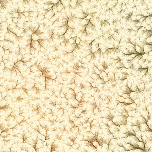 Item #74011109513159304894558377152860080667648997857135590135513699260513828995073 Media