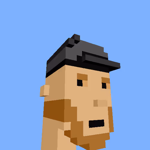 PunkVoxels #0312