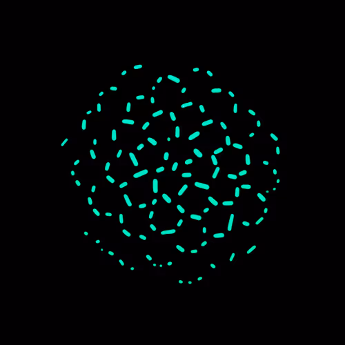 Haematopoiesis