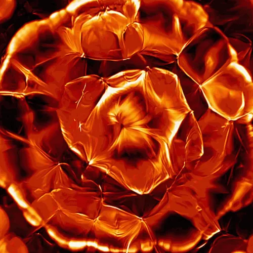 Item #16386636295082358469730771172983213295424491810058823127507133844582928744449 Media