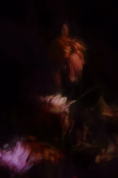 Item #72472512111903635261581493148510241947925598408403311949772894606808869502977 Media