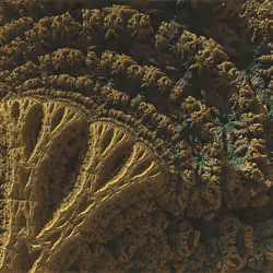 Forest Fractal 006