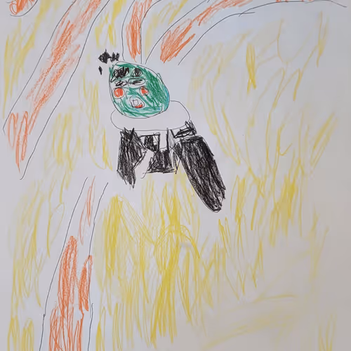 Notverysmarts Collection