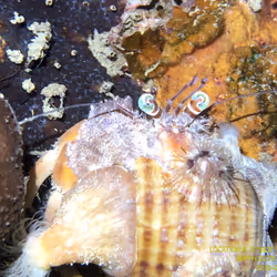 80965803268169370603932631570667161375508893671094224909166963914906691174401