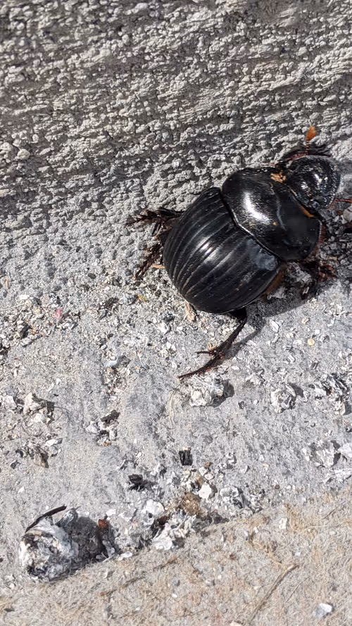 Item #47518194273065051299756248603371626593986050369570479212048397528966727991297 Media