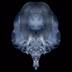 85859191866638808365331437874953228966785819470149775310971061991580436004865