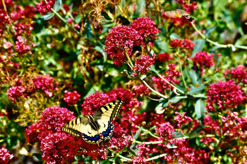 Item #90242850713282573943473333333408540290237184150123135597774242560575270813697 Media