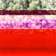59100591460969090848093152469102707440885830414673782650703488573149456367617